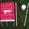 ProActive Flagstick Pole And Cup